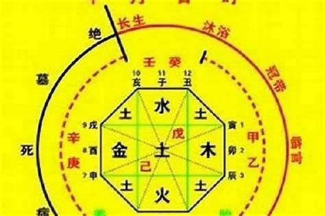 如何算八字五行|生辰八字算命、五行喜用神查詢（免費測算）